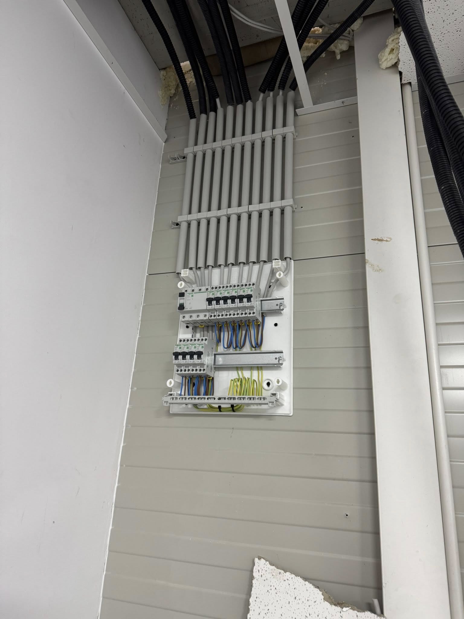 518460343_1297699055395271_3741710879773289383_n